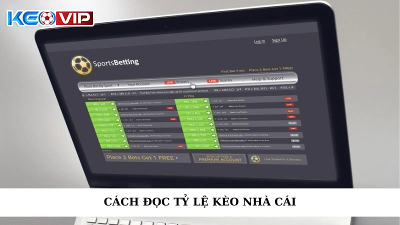 Cách Đọc Tỷ Lệ Kèo Nhà Cái - Hướng Dẫn Từ Keonhacai