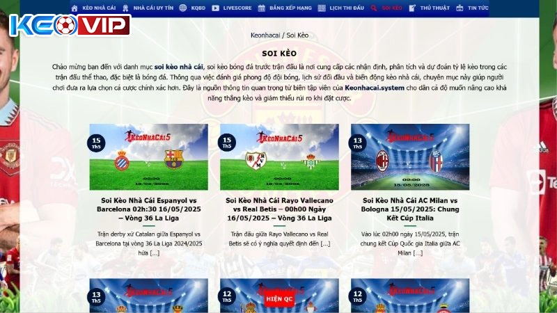 Cách tìm bài phân tích nhận định trên trang