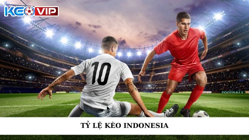 Tỷ Lệ Kèo Indonesia Chuẩn Xác - Nguồn Cập Nhật Đáng Tin Cậy